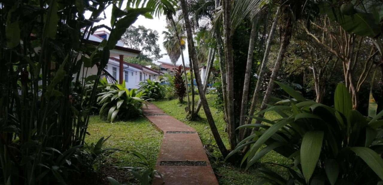 Geliwa B&B Turrialba Kültér fotó